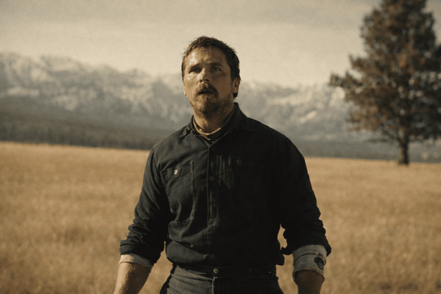 Why Tragedy Feels Better Than Happy Endings