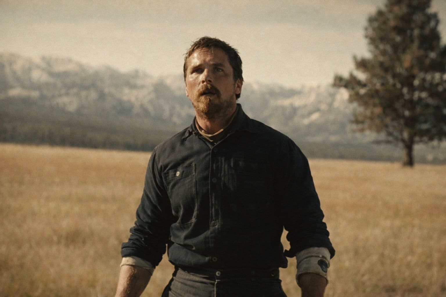 Why Tragedy Feels Better Than Happy Endings